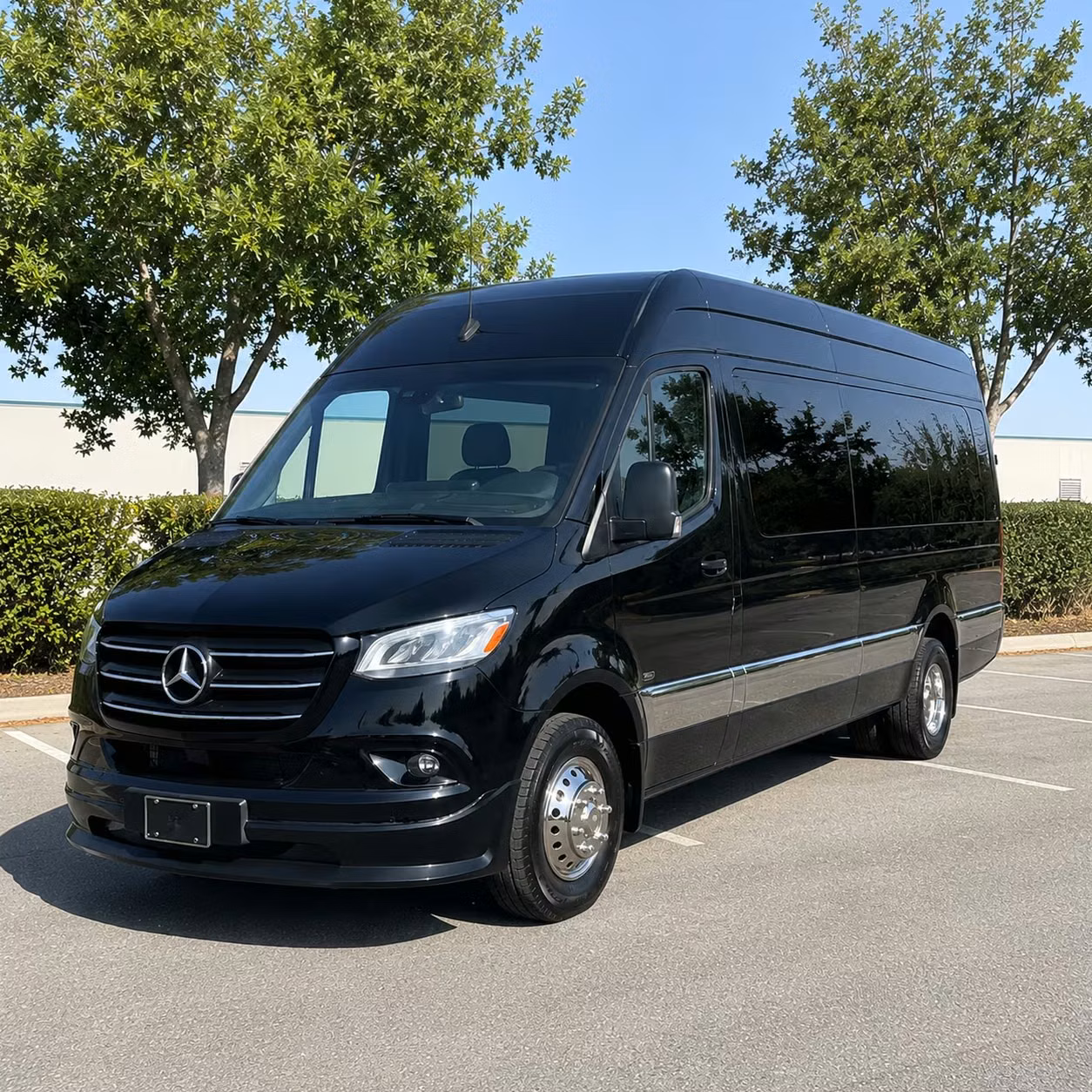 sprinter van with driver